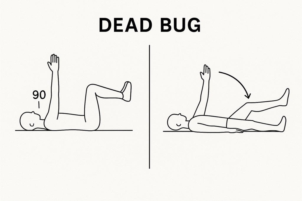 dead bug